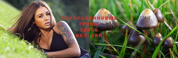 прущая мука Володарск